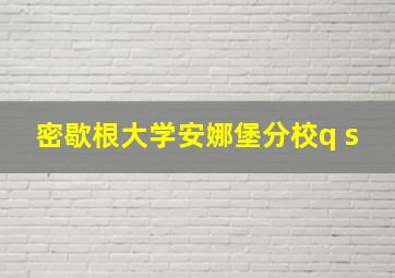 密歇根大学安娜堡分校q s